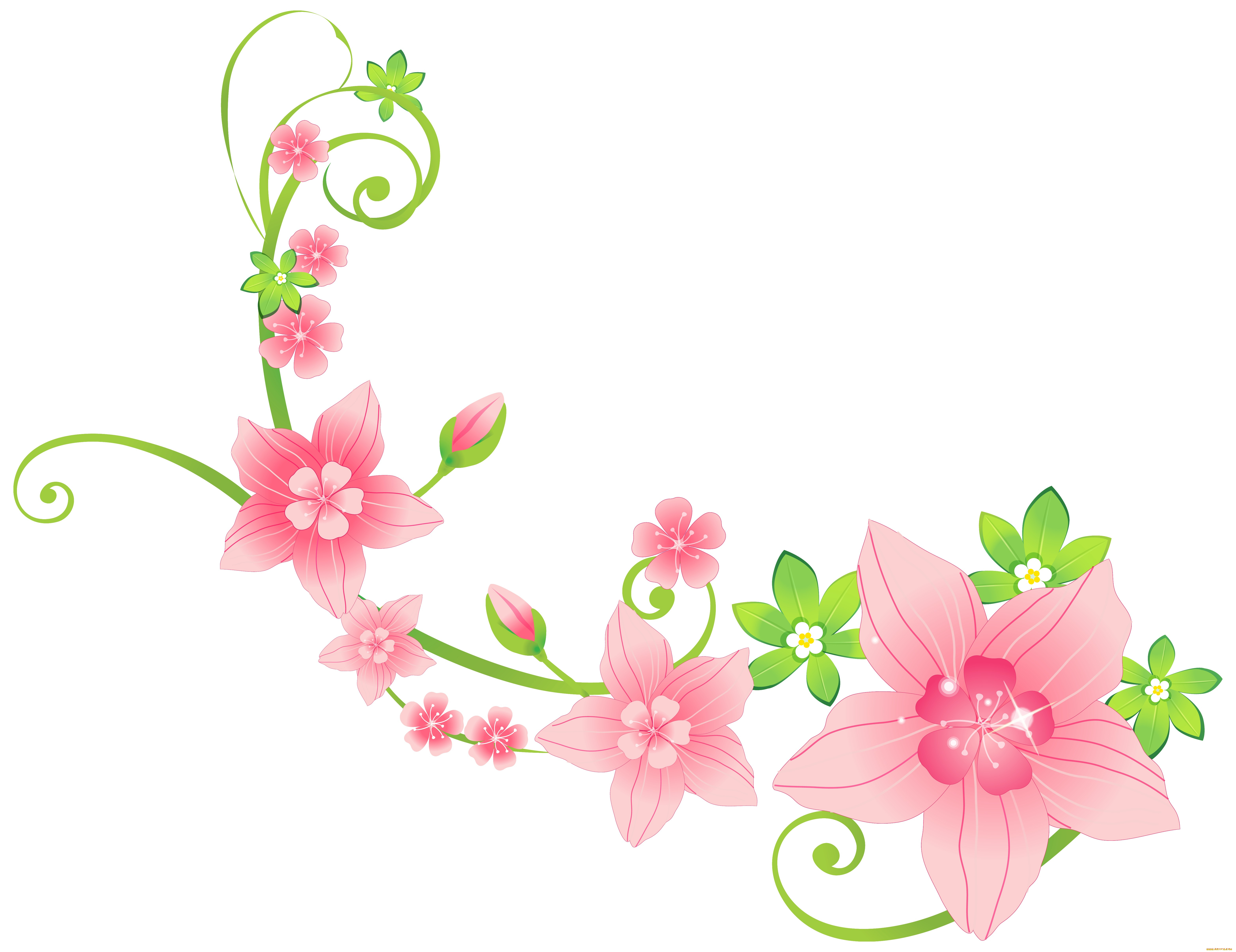 ,  , flowers, , 